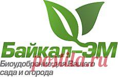 Вопросы и ответы | Подкормка зерновых | Регулятор роста растений купить