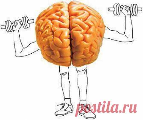 Упражнения для развития памяти