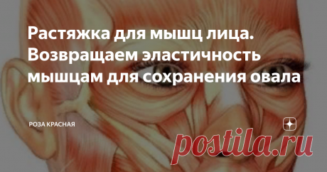 Растяжка для мышц лица. Возвращаем эластичность мышцам для сохранения овала Мы хорошо знаем, что нашем телу нужны физические нагрузки, статические и динамические. Но, любой тренер скажет, что не достаточно только "нагружать" мышцы, обязательно нужна растяжка. При составлении комплекса упражнений, обязательно включается блок упражнений на растяжку мышц. Главное, что даёт нам растяжка - это восстановление естественной эластичности мышц.
Мышцы лица