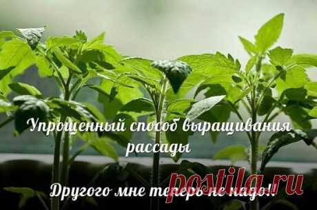 УПРОЩЕННЫЙ СПОСОБ ВЫРАЩИВАНИЯ РАССАДЫ 
(УРА! НАШЛА!!!!! другого мне теперь не надо!) 
 
Как писала автор данного метода, кто попробует этот способ выращивания рассады – другого уже никогда применять не будет. Так оно и есть! 
 
Пластиковые бутыли емкостью 5 литров разрезаю пополам. 
Дырочек для слива не делаю – в емкости и так видно, насколько проливается вода. 
На дно насыпаю 2-сантиметровый слой измельченной скорлупы яиц, затем на 2 см песка, а сверху на 10-12 см – хорош...