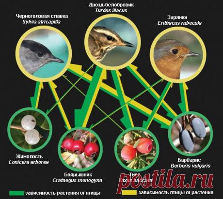 «Способность быть счастливыми и успешными в наших руках». Шарлотта Бронте.