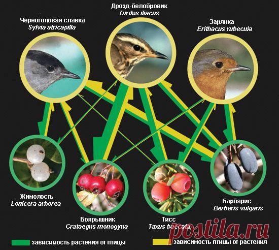 «Способность быть счастливыми и успешными в наших руках». Шарлотта Бронте.
