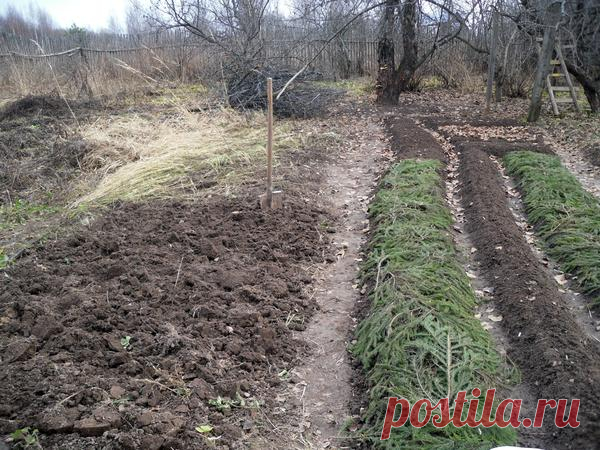 Записки ретрограда, или Почему я возвращаюсь к 