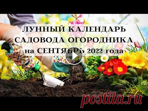 Лунный календарь САДОВОДА на СЕНТЯБРЬ 2022 года┃#луна #календарь #сентябрь #2022 #фаза #садовод Каждый садовник и огородник знает, что рост растений и урожайность во многом зависит от расположения Луны на небосклоне. Если заниматься посадкой в не...