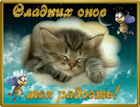 живые открытки спокойной ночи - Поиск в Google