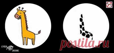 ⌘ ЗАРЯДКА ДЛЯ ГЛАЗ ⌘

Одень жирафа в пятна)!

Перед вами одно из сильнейших упражнений для тренировки зрительной системой и осознанного управления мышцами глаз.
Показать полностью...