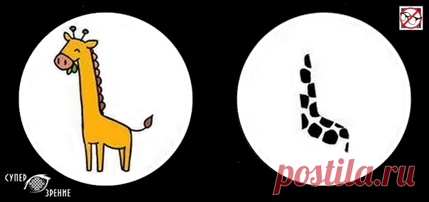 ⌘ ЗАРЯДКА ДЛЯ ГЛАЗ ⌘

Одень жирафа в пятна)!

Перед вами одно из сильнейших упражнений для тренировки зрительной системой и осознанного управления мышцами глаз.
Показать полностью...