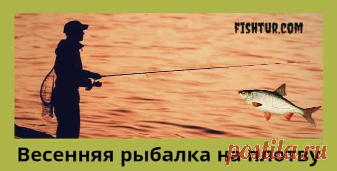 Плотва и особенности ее ловли весной: в марте и апреле Что надо знать рыбаку про особенности ловли плотвы весной? Как ловить, на что будет клевать и какие прикормки использовать для лова.