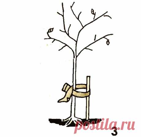 😵: ПУСТЫНЯ, ОЖИВШАЯ В... КАПРОНЕ, И МНОГОЕ ДРУГОЕ