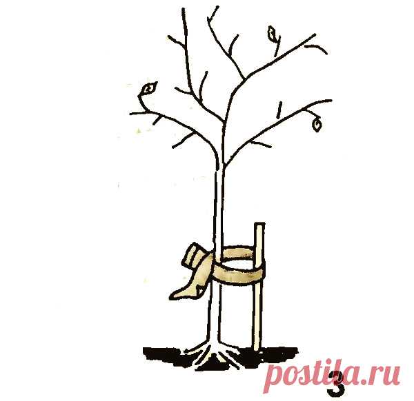 😵: ПУСТЫНЯ, ОЖИВШАЯ В... КАПРОНЕ, И МНОГОЕ ДРУГОЕ