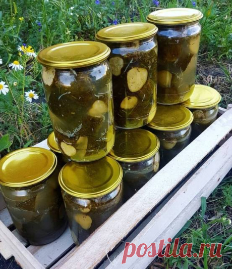 Огурцы 🥒 "Пальчики оближешь" #Заготовки Автор рецепта Елена Пивоварова - Cookpad