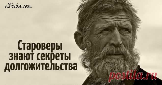 Староверы знают секреты долгожительства! ​Эти староверы сильно меня потрясли. Они нам утёрли нос своей силой, уравновешенностью характеров и незлобивостью, своим здоровьем и трудолюбием.