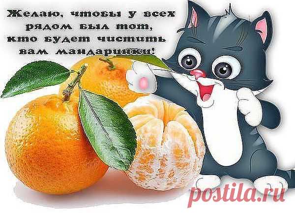 Интересные новости