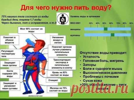 Для чего нужно пить воду?