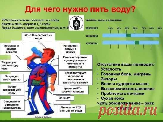 Для чего нужно пить воду?