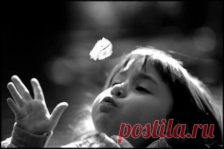 Я не знаю, права ли мама или лейтенант Дэн. Не знаю, у всех ли есть судьба или мы летим по жизни, как пёрышко на ветру. Мне кажется, и то и другое. И то и другое происходит одновременно.
Форрест Гамп