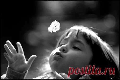 Я не знаю, права ли мама или лейтенант Дэн. Не знаю, у всех ли есть судьба или мы летим по жизни, как пёрышко на ветру. Мне кажется, и то и другое. И то и другое происходит одновременно.
Форрест Гамп