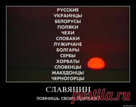 сатира | Фотографии 1-й Украинский ИНТЕР-ФРОНТ | 12973 фото | Группы Мой Мир