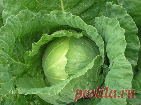 ))))))))))))