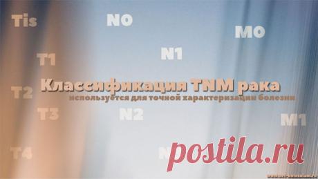 Как определяются стадии рака и какая классификация - самая точная?

Прогноз заболевания зависит от многих факторов, включая локализацию и стадию её эволюции.

Для того чтобы дифференцировать различные виды рака, учёные ввели различные системы классификации рака.