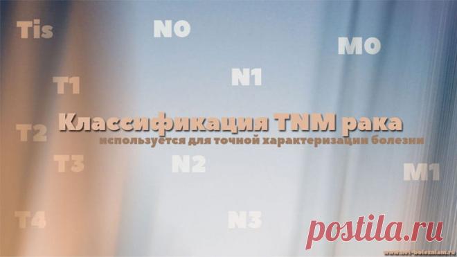 Как определяются стадии рака и какая классификация - самая точная?

Прогноз заболевания зависит от многих факторов, включая локализацию и стадию её эволюции.

Для того чтобы дифференцировать различные виды рака, учёные ввели различные системы классификации рака.