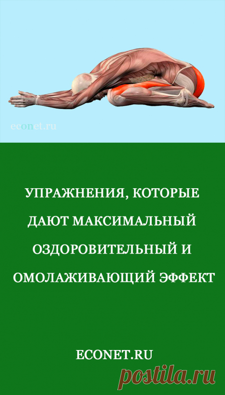 Упражнения, которые дают максимальный оздоровительный и омолаживающий эффект

Мышечную энергию своей волей мы можем направить как на пользу здоровья, так и во вред. Работа или тренировка до изнеможения, подъем чрезмерных тяжестей, деструктивные очень резкие движения  или неамортизированные прыжки. В результате вместо пользы происходит истощение ресурсов организма, накопление дистрофических изменений в суставах и позвоночнике.