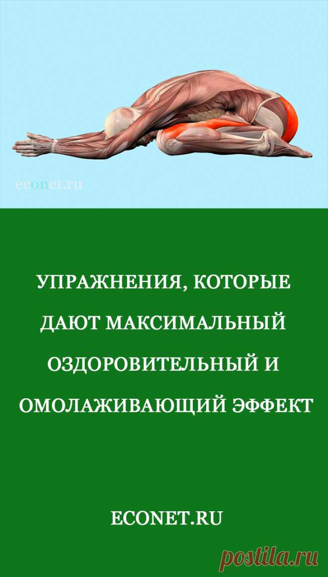 Упражнения, которые дают максимальный оздоровительный и омолаживающий эффект

Мышечную энергию своей волей мы можем направить как на пользу здоровья, так и во вред. Работа или тренировка до изнеможения, подъем чрезмерных тяжестей, деструктивные очень резкие движения  или неамортизированные прыжки. В результате вместо пользы происходит истощение ресурсов организма, накопление дистрофических изменений в суставах и позвоночнике.
