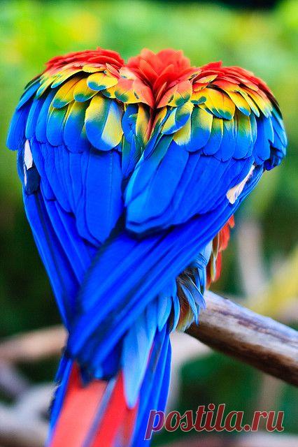 Pinterest: инструмент для поиска и хранения интересных идей