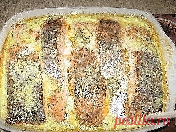 Рыба, запеченная в сметане 🤗Вы должны это попробовать!!! Я всегда думала что пробовала вкусную рыбку... но нет, этот вкус я долго не забуду 🤩
Ингредиенты:
 2 кг рыбы (хек, минтай,судак и т.д.)
 3 головки лука
 2 яйца
 150 г сыра твердых сортов
 400 г сметаны
 растительное масло
 мука
 маленький пучок укропа
 специи, соль и горчица по вкусу
Приготовление:
1. Рыбу помыть, почистить, нарезать небольшими кусочками.
2. Сделать панировку: в плоское блюдо насыпать муку, соль, сп