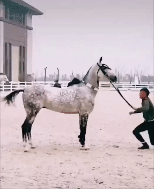 Красиво и виртуозно!