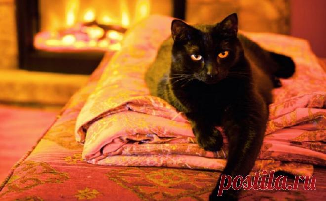 Энергетические вампиры в доме: что забирает у нас силы? В каждом доме есть определенные предметы, от которых необходимо избавиться.