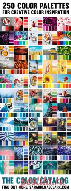 250 color palettes to help you find the perfect color combination for any project!  Save The Color Catalog to your mobile or tablet to find a color combination by color, keyword or collection in just a few taps. So many beautiful color schemes to inspire you!  Find out more at sarahrenaeclark.com/thecolorcatalog  #color #colorscheme #colorpalette