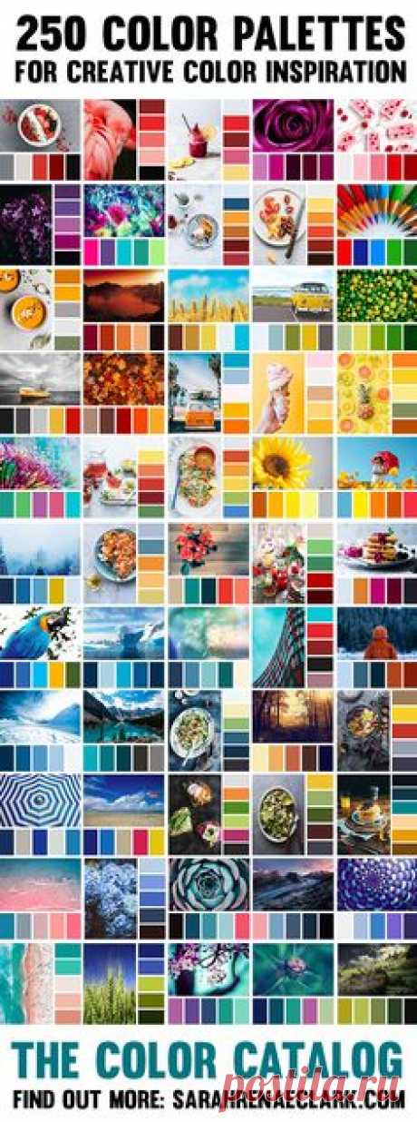 250 color palettes to help you find the perfect color combination for any project!  Save The Color Catalog to your mobile or tablet to find a color combination by color, keyword or collection in just a few taps. So many beautiful color schemes to inspire you!  Find out more at sarahrenaeclark.com/thecolorcatalog  #color #colorscheme #colorpalette