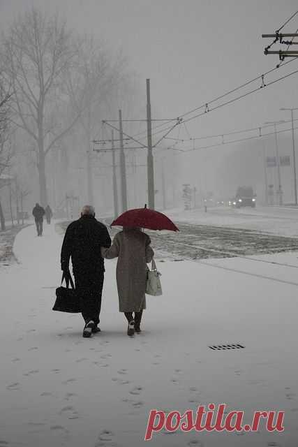 Найдено на сайте flickr.com.