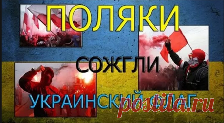 «Поляки отреагировали на украинский выпад....