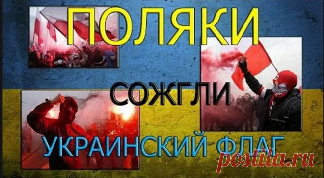«Поляки отреагировали на украинский выпад....