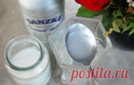 6 вариантов продления жизни срезанных цветов | Дела огородные (Огород.ru)