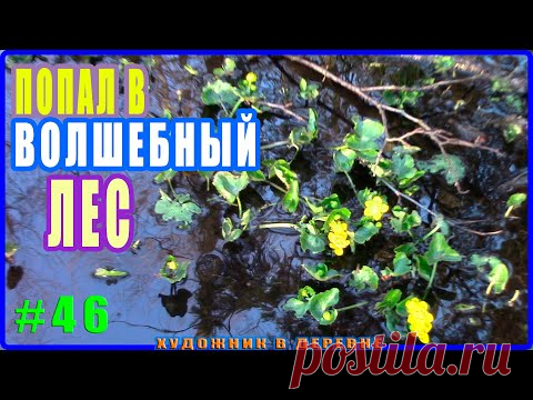 #46 Такое в лесу вы вряд ли видели...Нахожусь в волшебном весеннем лесу - Художник в ДЕРЕВНЕ Forest