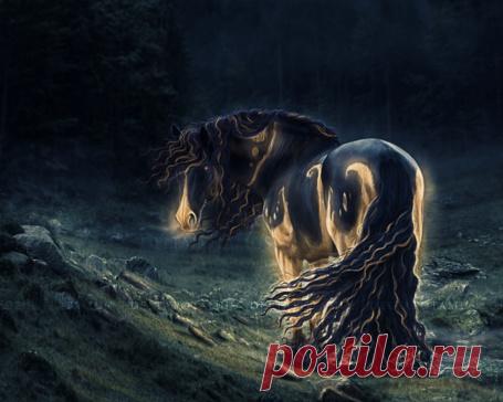 Фото Вороной конь с длинной гривой и хвостом стоит в воде на фоне космоса, автор impassioned-dreams, страница