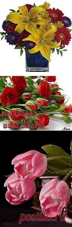 Письмо любимому....)))Флеш-открытка....