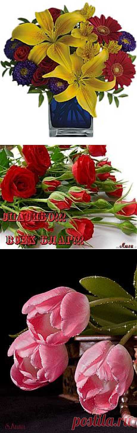 Письмо любимому....)))Флеш-открытка....