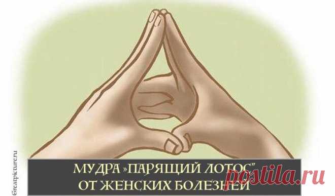 Мудра 