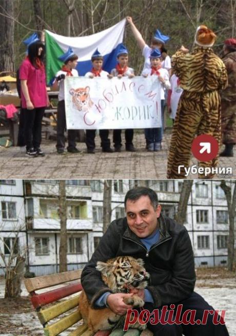 Тигр Жорик | На краю земли
В начале месяца знаменитый амурский тигр Жорик отметил свой 5 день рождения.
Сегодня он живёт в центре реабилитации диких животных "Утёс" под Хабаровском.