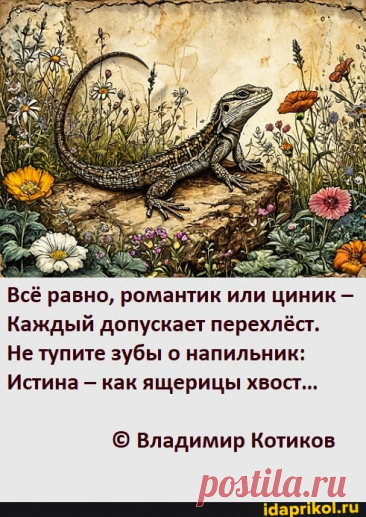 Всё равно, романтик или циник - Каждый допускает перехлёст. Не тупите зубы о напильник: Истина как ящерицы хвост... Владимир Котиков - АйДаПрикол