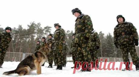 (3) Facebook