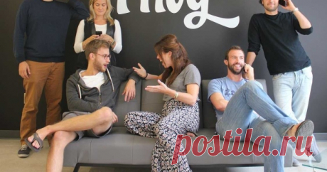 «Ради всего святого, объясните, чем вы занимаетесь»