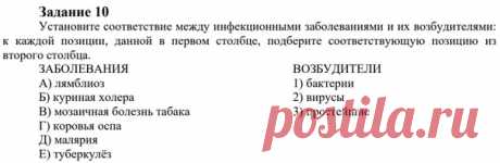 ТЕСТОВОЕ ЗАДАНИЕ 2021 г. ЛИНИИ 10 ФИПИ
Задание 10. Установите соответствие между инфекционными заболеваниями и их возбудителями: к каждой позиции, данной в первом столбце, подберите соответствующую позицию из второго столбца.
#ЕГЭбиология #биология#биология #биология_олимпиада #олимпиада_биология #ЕГЭбиология #ЕГЭ #ЕГЭ2022 #биологияегэ #биология_егэ #disttutor