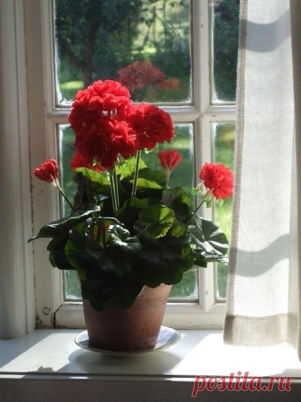 Всё состоит из мелочей… 
Чуть слышный вдох, тончайший штрих… 
Мгновенья прожитых ночей… 
И поцелуя краткий миг… 
Мгновенье — день, 
мгновенье сон… 
Портретов наших полутон… 
И смыслы многих мелочей 
Порой огромней жизни всей… 

= Аксенико =