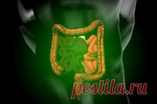 Дискинезия желчного пузыря: типы болезни, первые симптомы и тактика лечения | Лекарственный справочник | Здоровье | Аргументы и Факты