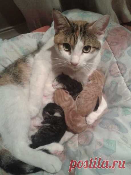 (7) Facebook